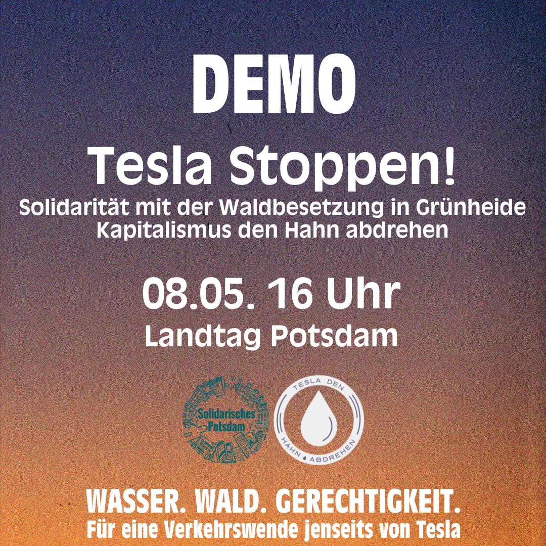 Demo in Potsdam