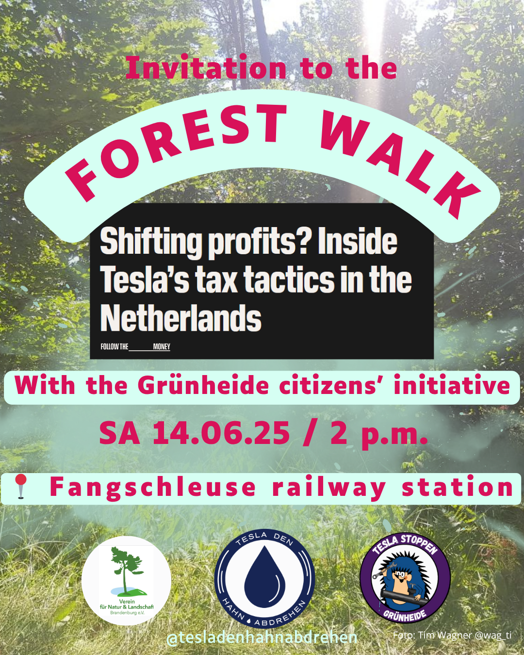 🌲Forest walk June 14: 😡 Fokus Tesla’s aggressive tax avoidance 😡