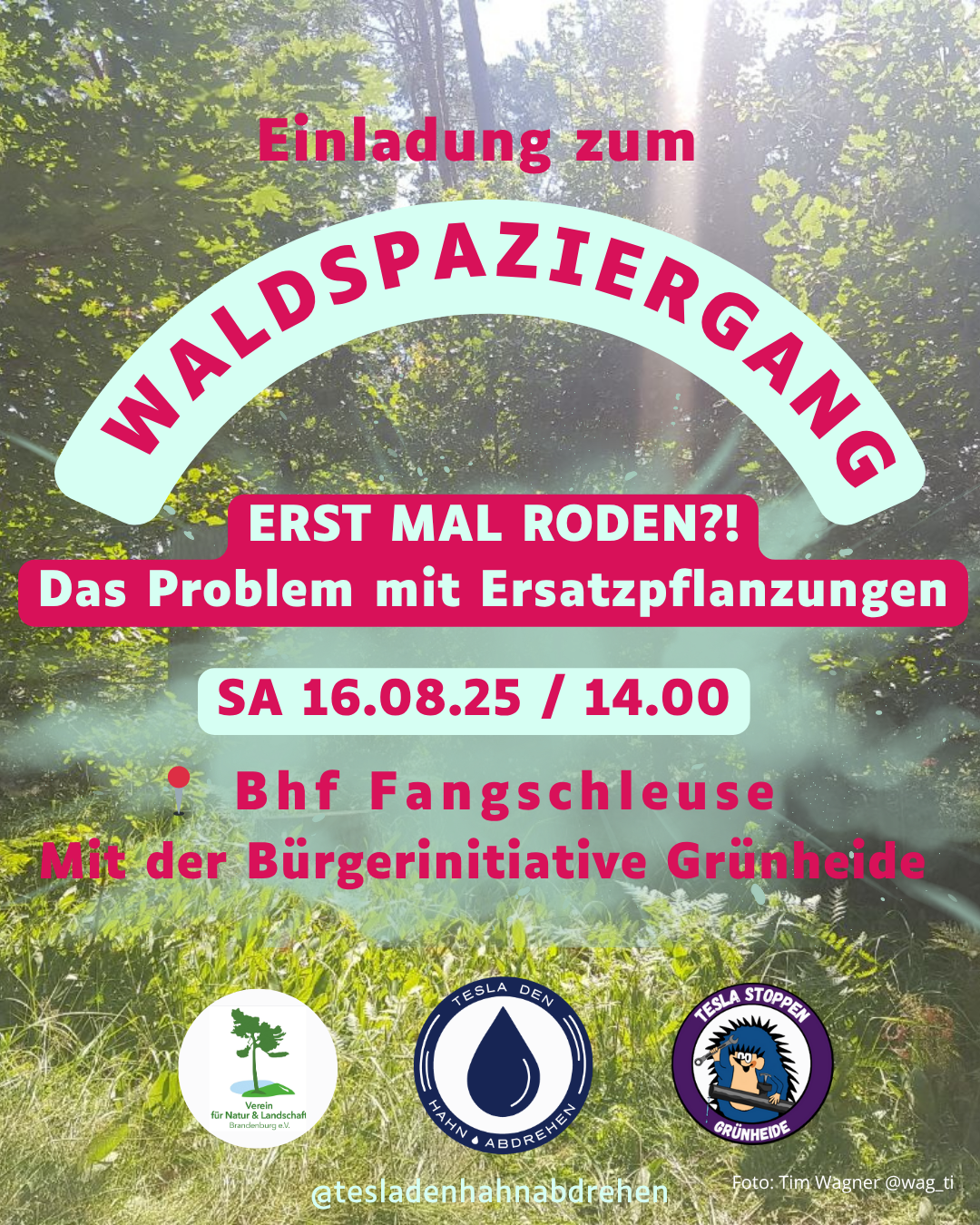 Waldspaziergang 16.08.25