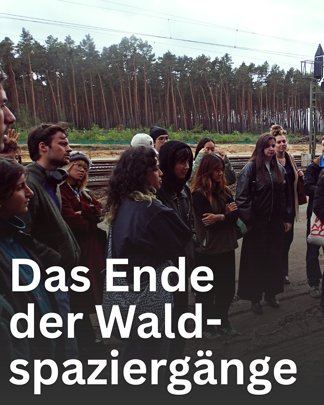 Das Ende der Waldspaziergänge